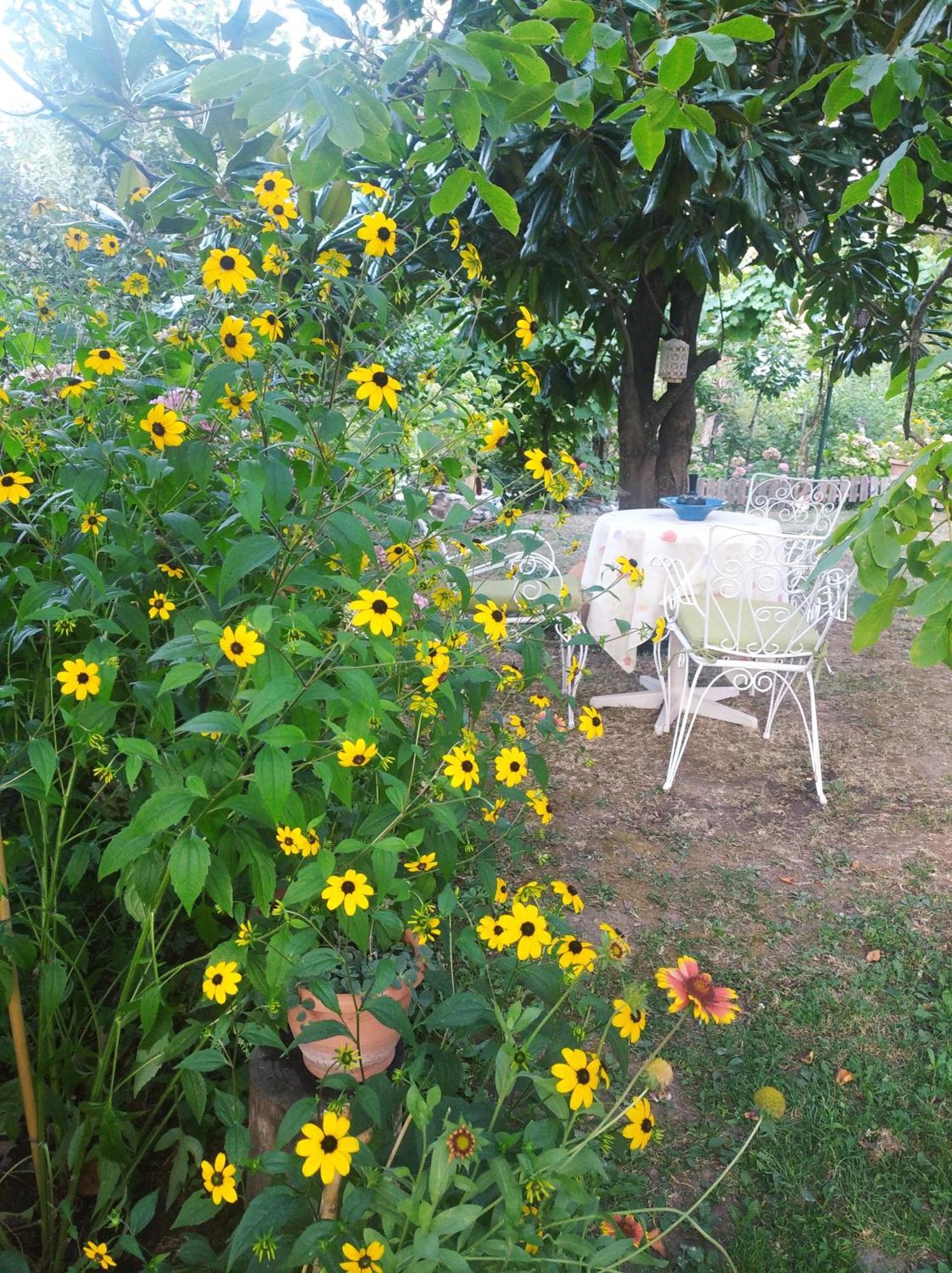 Maroulas House Chrysomiléa